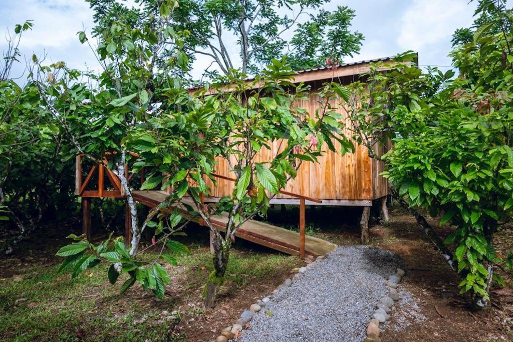 Rio Celeste, Cacahua Lodge Eksteriør bilde